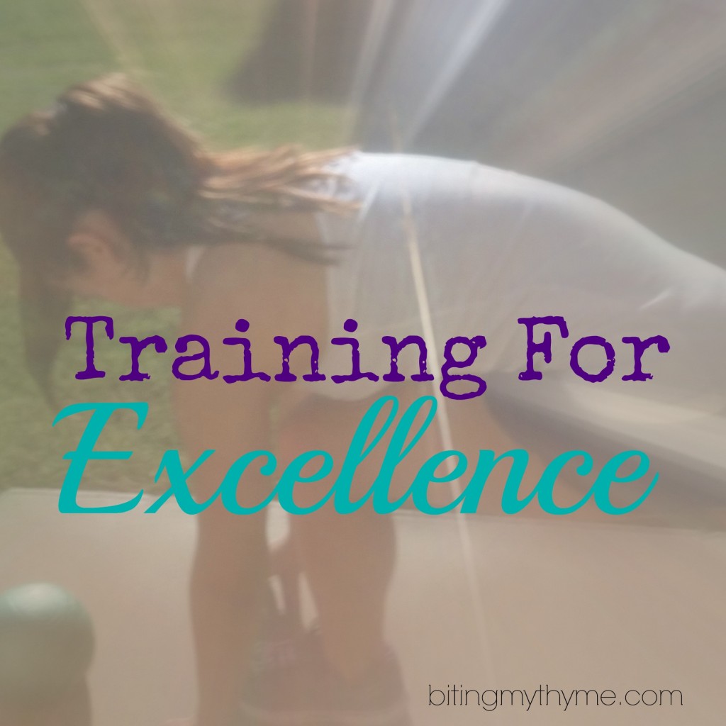 Training For Excellence